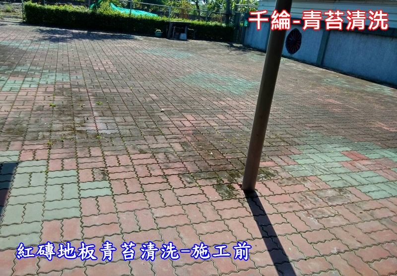 千綸-中庭紅磚地板青苔清洗